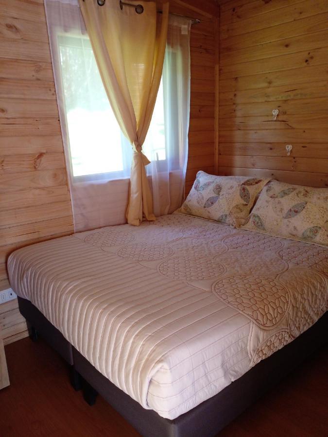 Eco Cabanas Wanderlust بويرتو پويواپي المظهر الخارجي الصورة
