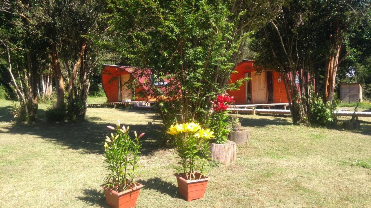 Eco Cabanas Wanderlust بويرتو پويواپي المظهر الخارجي الصورة