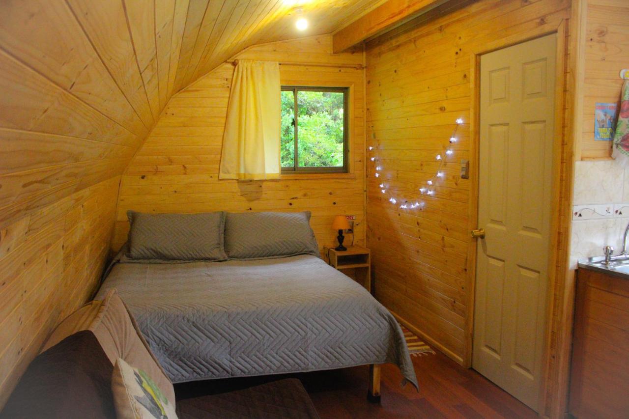 Eco Cabanas Wanderlust بويرتو پويواپي المظهر الخارجي الصورة